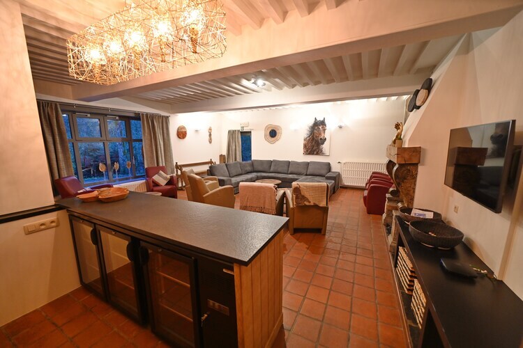 Maison ardennaise 18 personnes avec spa et piscine à Marche - Photo 7