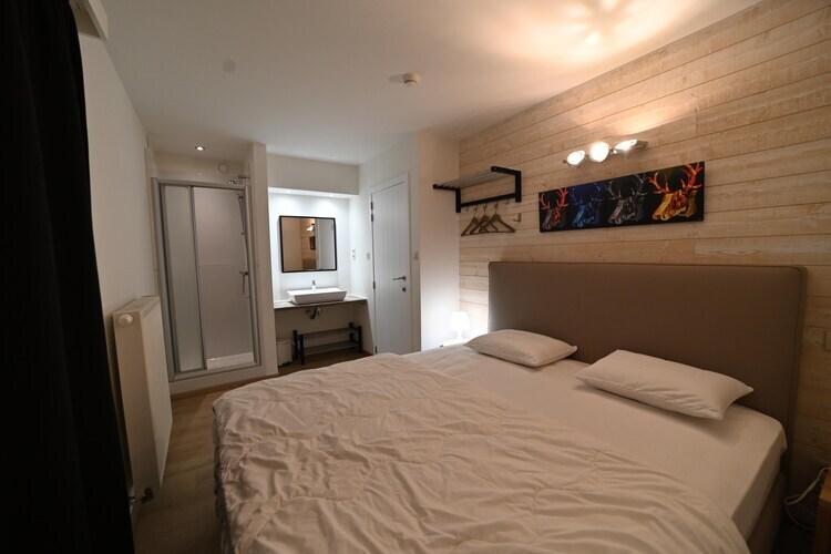 Maison ardennaise 18 personnes avec spa et piscine à Marche - Photo 12