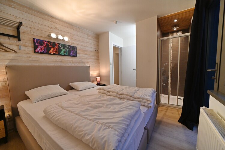 Maison ardennaise 18 personnes avec spa et piscine à Marche - Photo 13