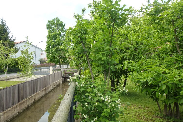 Casa sul Piave – Maison 6 pers., 3 chambres à Volpago - Photo 24