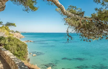 Maison 10 pers. avec piscine privée à Miami Platja : photo 9