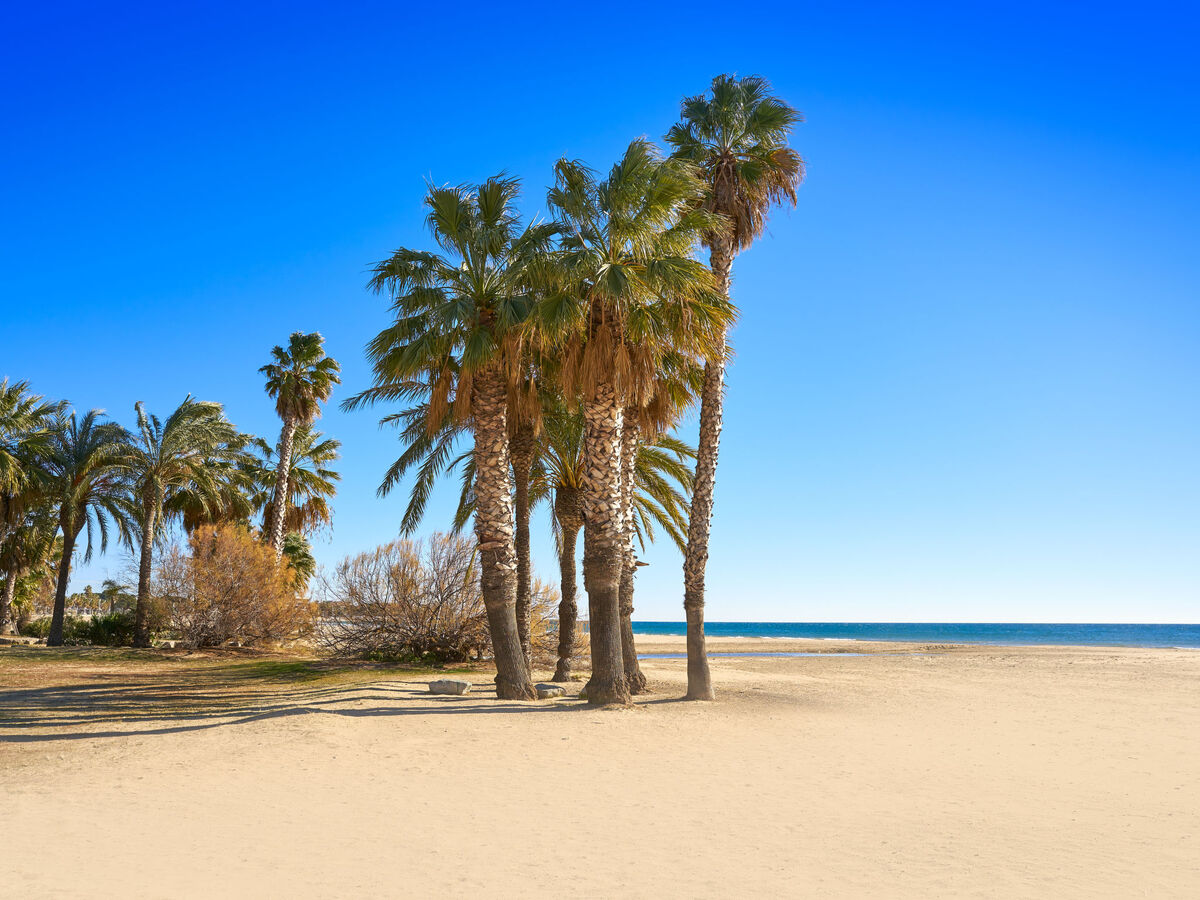 Appartement Cambrils Drassanes, 4 chambres vue mer - Photo 35