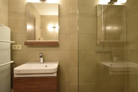 Fermette de Lamerlé, maison 8 personnes avec sauna : photo 28