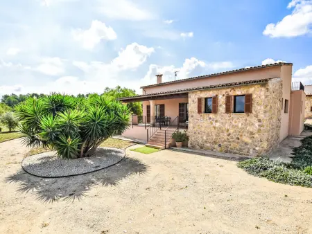 Son Tey, villa 6 pers. avec piscine à Sineu - Photo 35