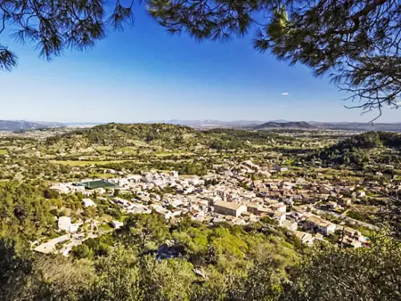 Biniarroi Charm & Quality, Maison 5 personnes à Mancor de la Vall - Photo 29