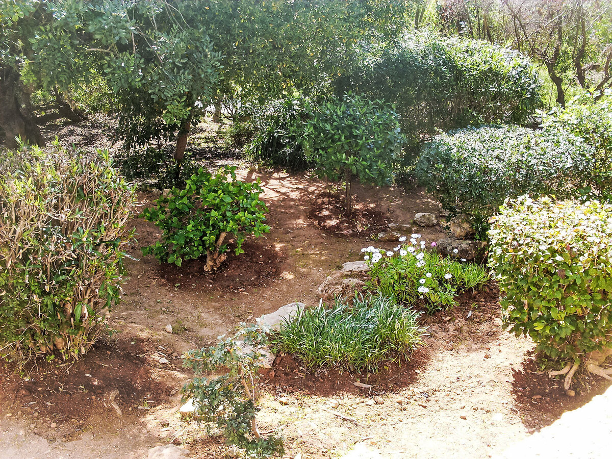 Doroteia – Maison 115 m² avec piscine à Carvoeiro - Photo 17