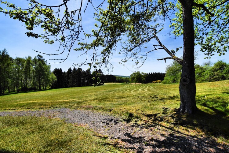 Les Genets - Villa 12 pers., sauna et 2 hectares - Photo 18