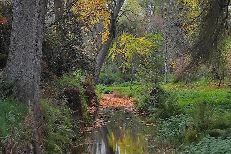 Les Genets - Villa 12 pers., sauna et 2 hectares - Photo 26