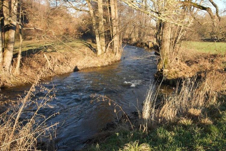 Les Genets - Villa 12 pers., sauna et 2 hectares - Photo 38