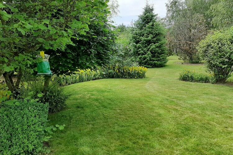 La Buse – Maison 6 pers. avec jardin aux Ardennes - Photo 35