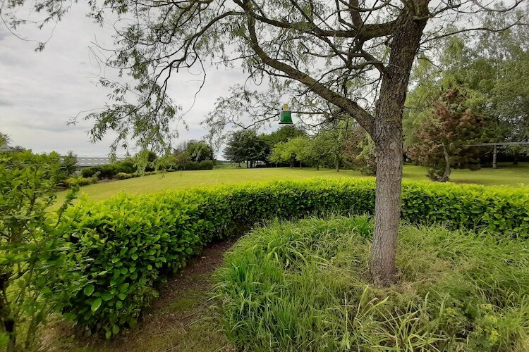 La Buse – Maison 6 pers. avec jardin aux Ardennes - Photo 40