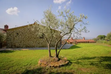 Villa San Martino Ulivi, 3 appartements avec piscine à Cortona : photo 18