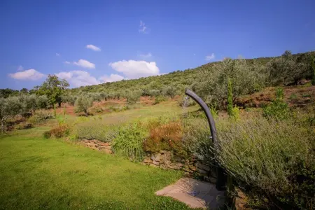Villa San Martino Ulivi, 3 appartements avec piscine à Cortona : photo 19