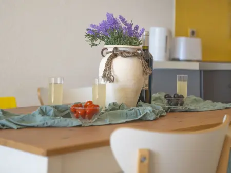 Appartement Poséidon, vue mer, terrasse sud : photo 8