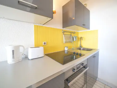 Appartement Poséidon, vue mer, terrasse sud : photo 14