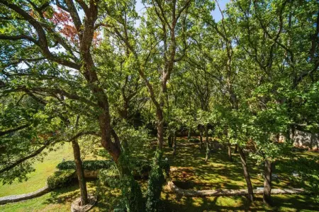 Villa Teresy, Villa à Čilipi près de Dubrovnik avec Piscine - Photo 34