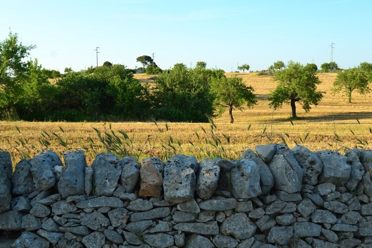 La Marcanna - Villa 8 pers. avec piscine à Ostuni - Photo 23