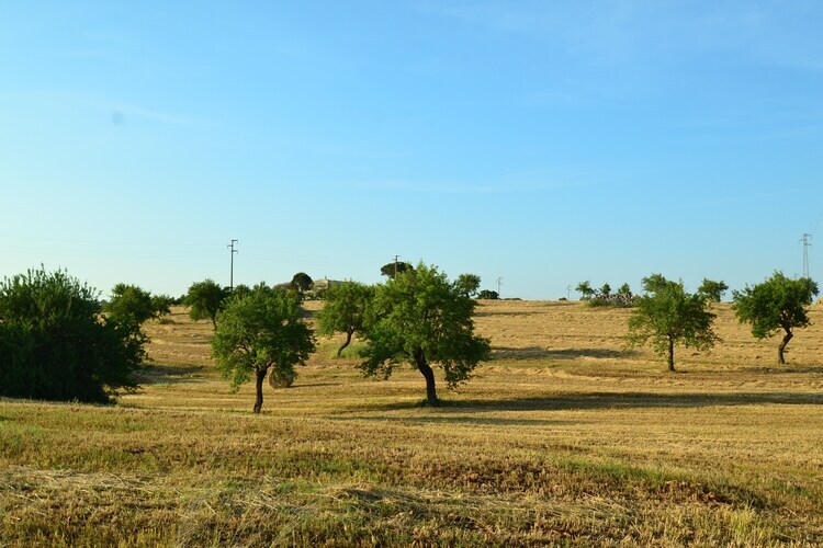 La Marcanna - Villa 8 pers. avec piscine à Ostuni - Photo 26