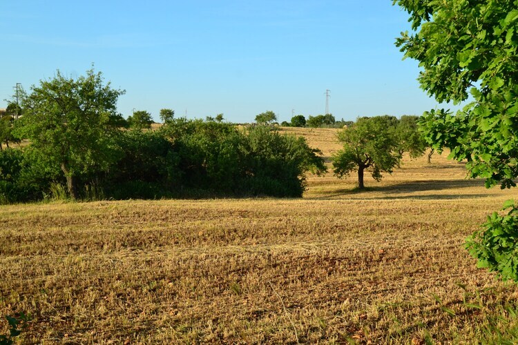 La Marcanna - Villa 8 pers. avec piscine à Ostuni - Photo 27