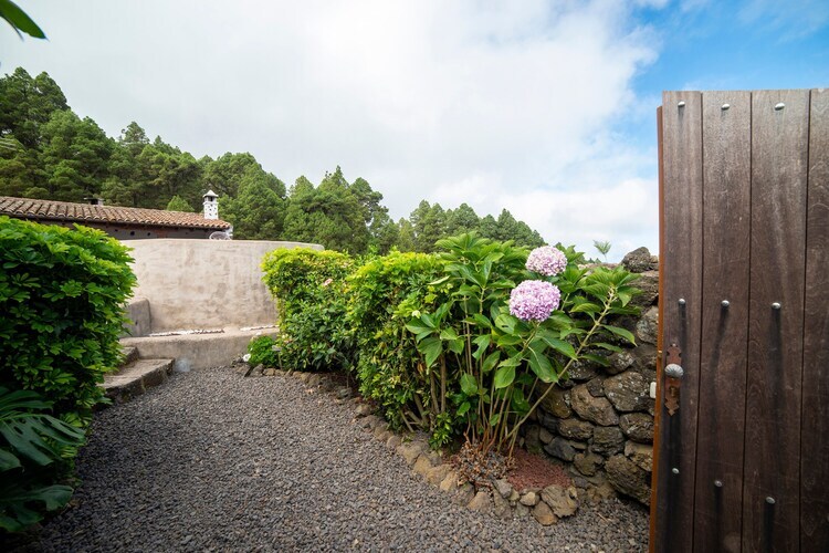Casa Maxima à Icod de los Vinos, vue Teide - Photo 24