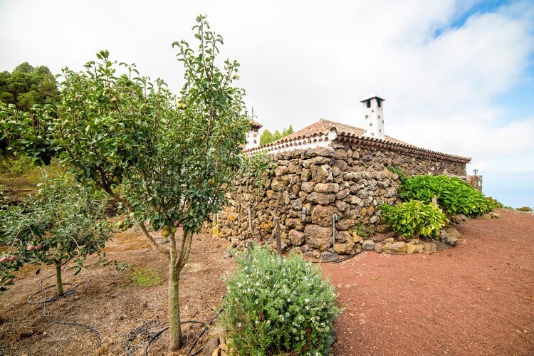 Casa Maxima à Icod de los Vinos, vue Teide - Photo 27