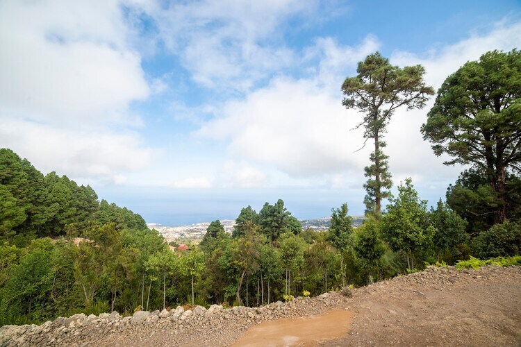 Casa Maxima à Icod de los Vinos, vue Teide - Photo 28