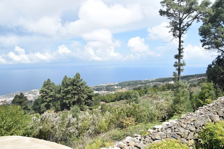 Casa Maxima à Icod de los Vinos, vue Teide - Photo 31