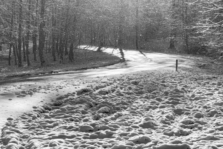 Chalet Alouette, refuge ardennais à 2 km de Forrières - Photo 34