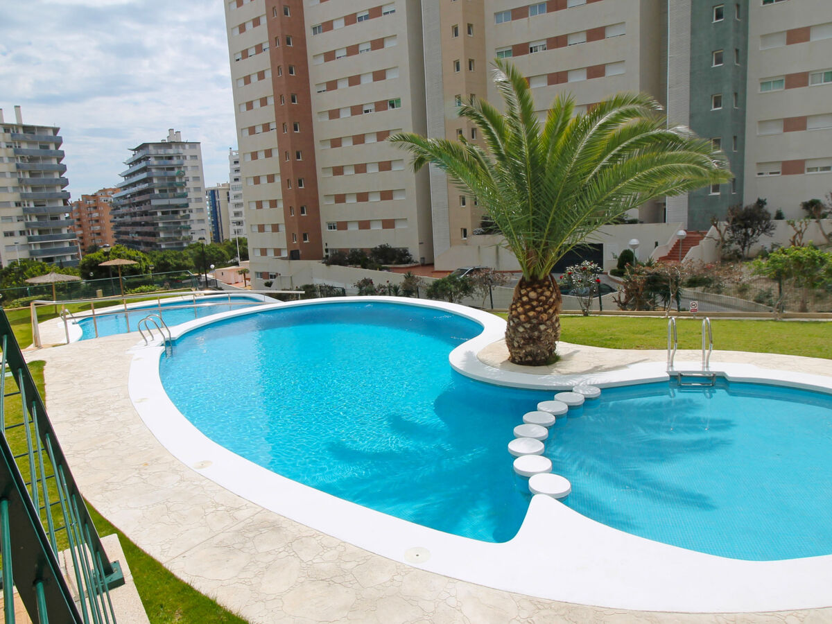 Vila Park, appartement Benidorm, 9e étage avec terrasse - Photo 1
