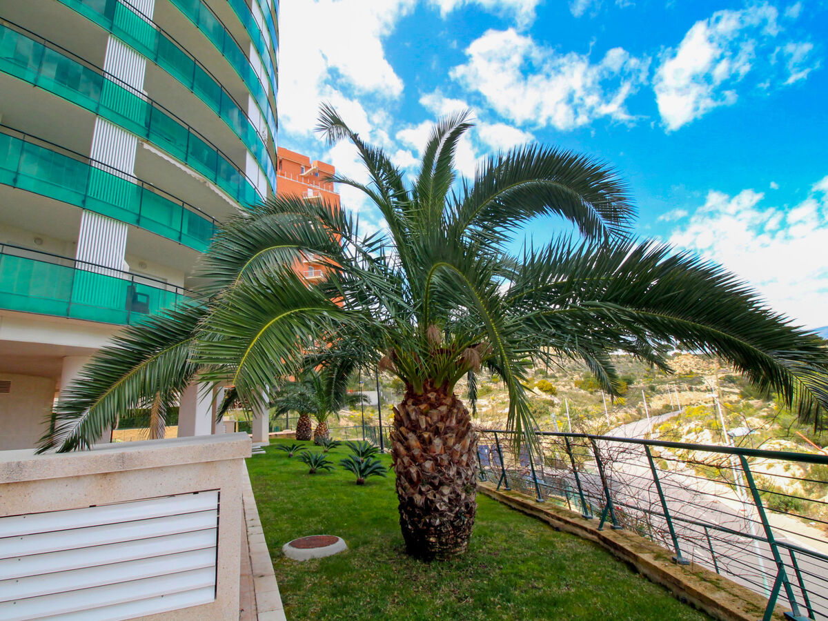 Vila Park, appartement Benidorm, 9e étage avec terrasse - Photo 19