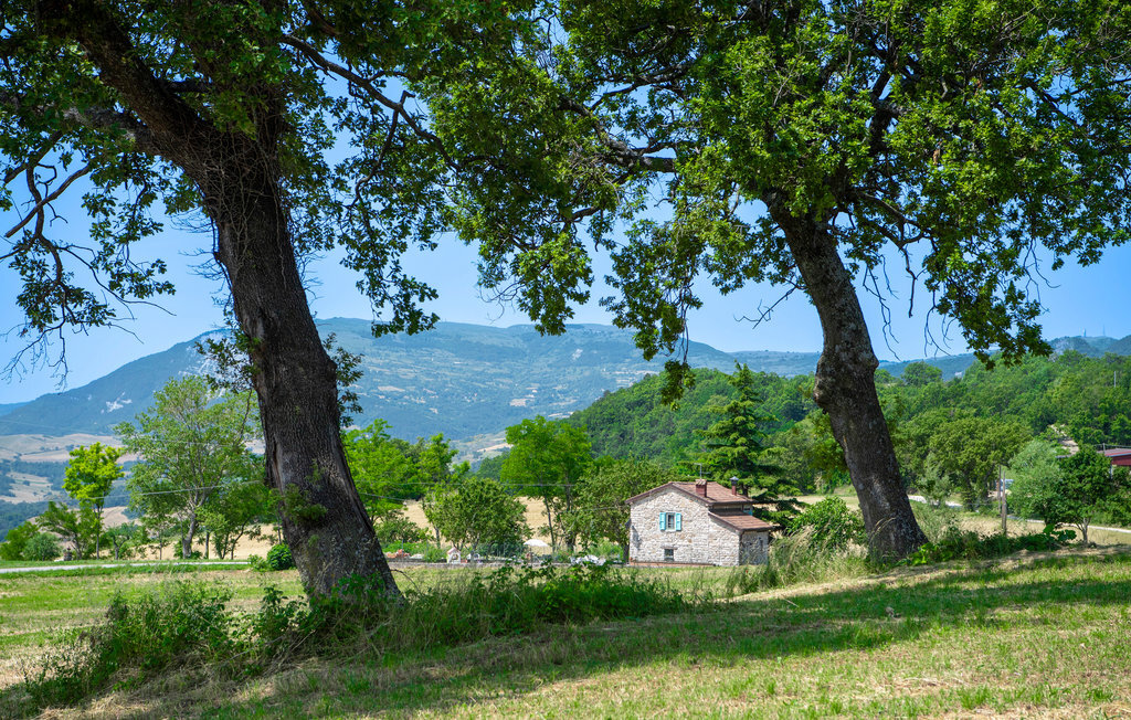 Villa Coccole – Maison 6 pers. Montefeltro avec jardin - Photo 1
