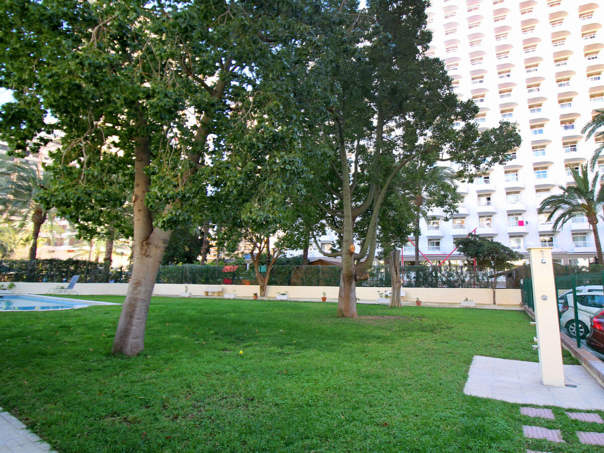 Waldorff – Appartement 50 m² à 300 m de la plage - Photo 9