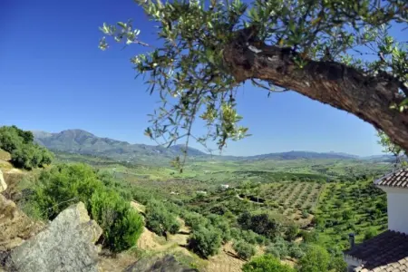 La Vista, Villa familiale sur la Costa del Sol - Photo 37