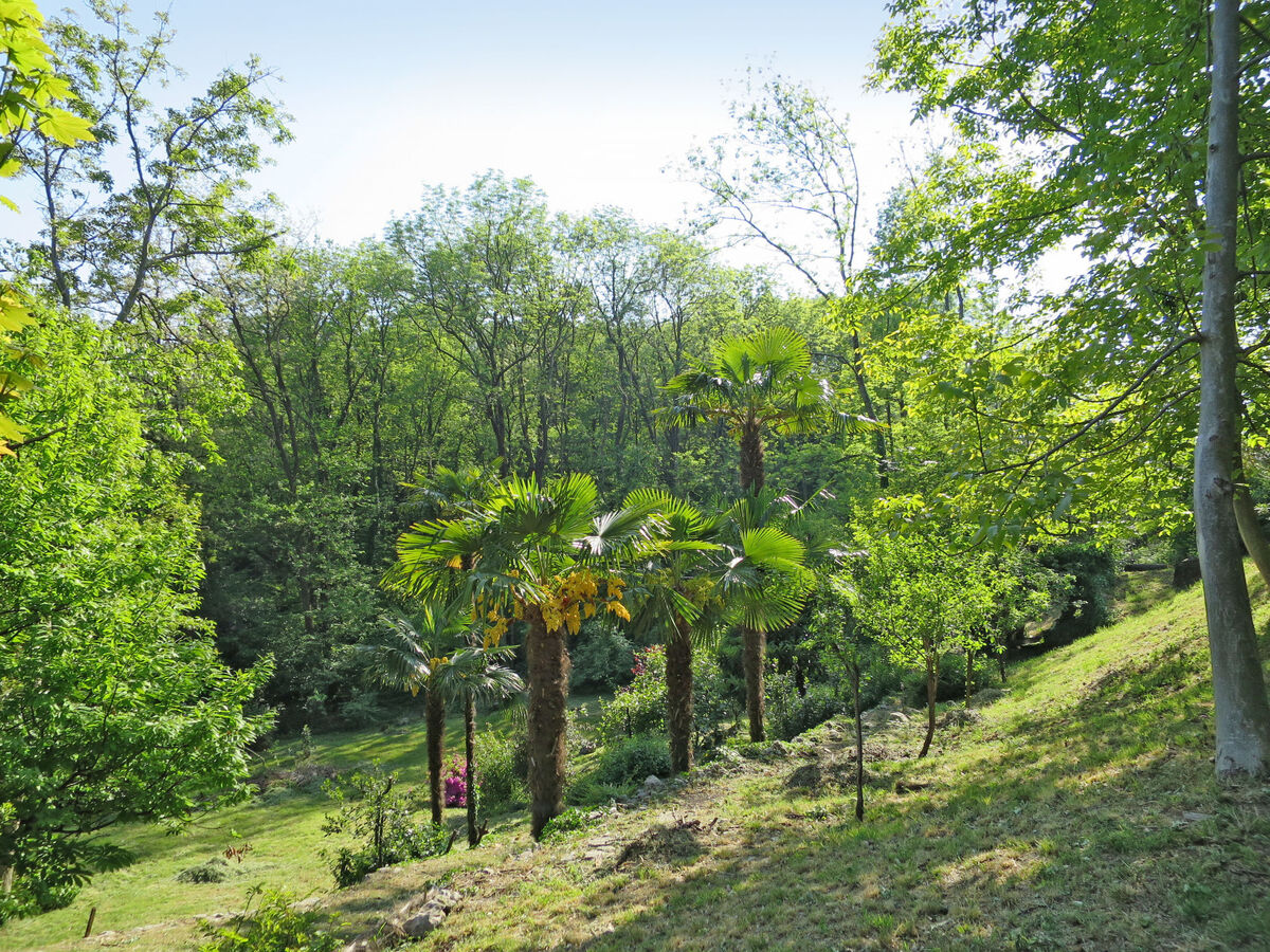 Casa nel Bosco à Leggiuno, 150 m du lac - Photo 15