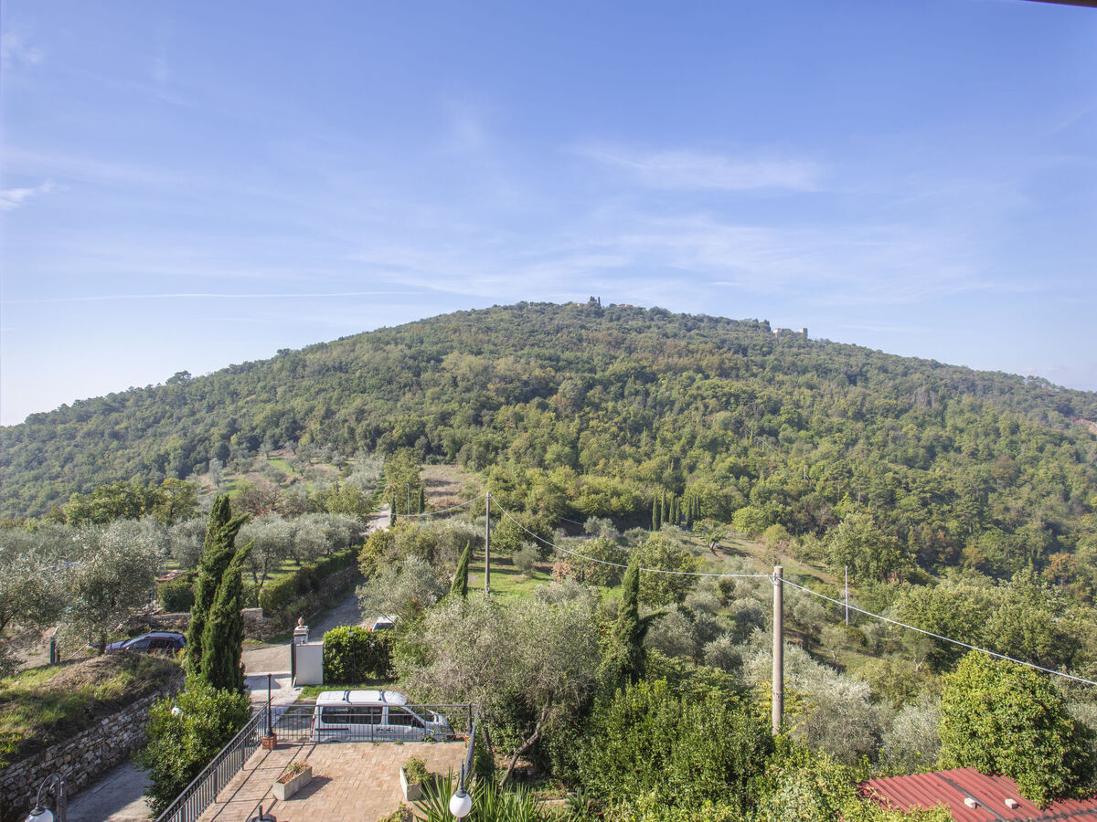 L'Amorosa, gîte 5 chambres avec piscine à Montecatini - Photo 43