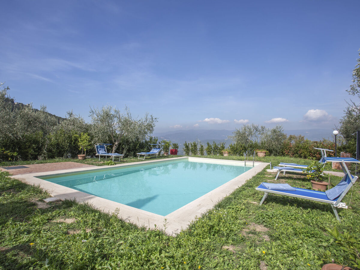 L'Amorosa, gîte 5 chambres avec piscine à Montecatini - Photo 53