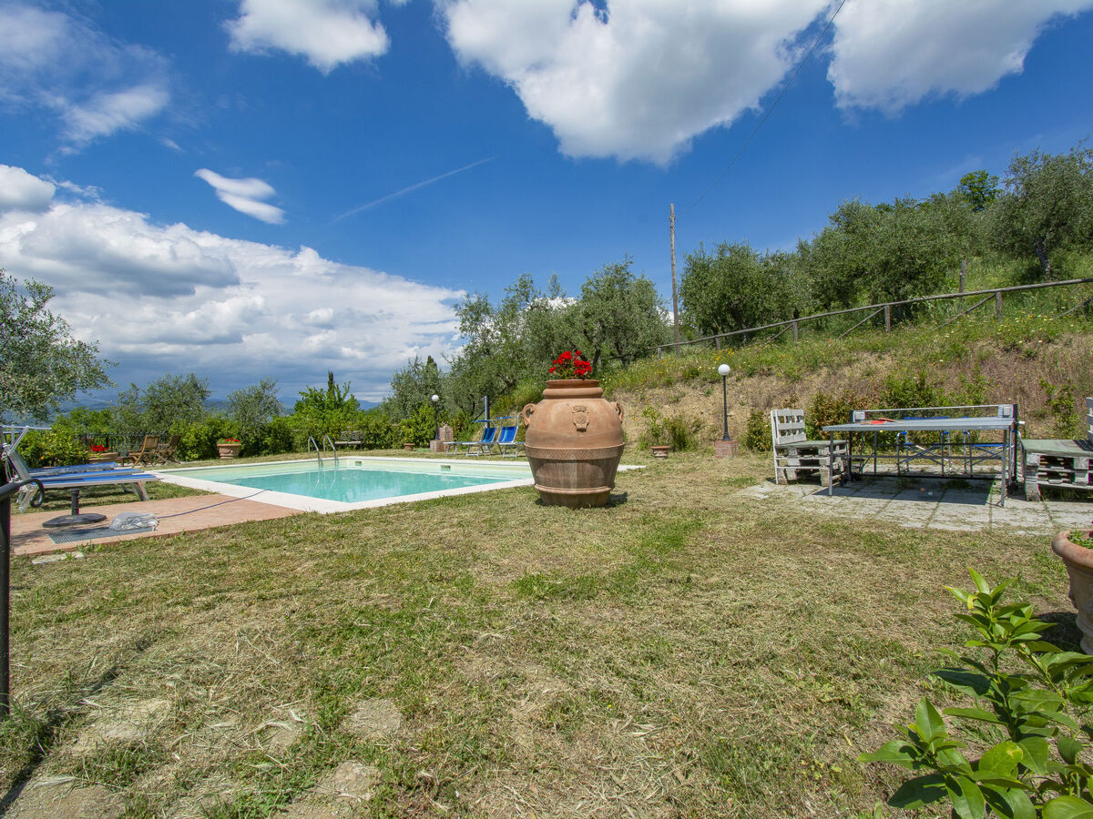 L'Amorosa, gîte 5 chambres avec piscine à Montecatini - Photo 57