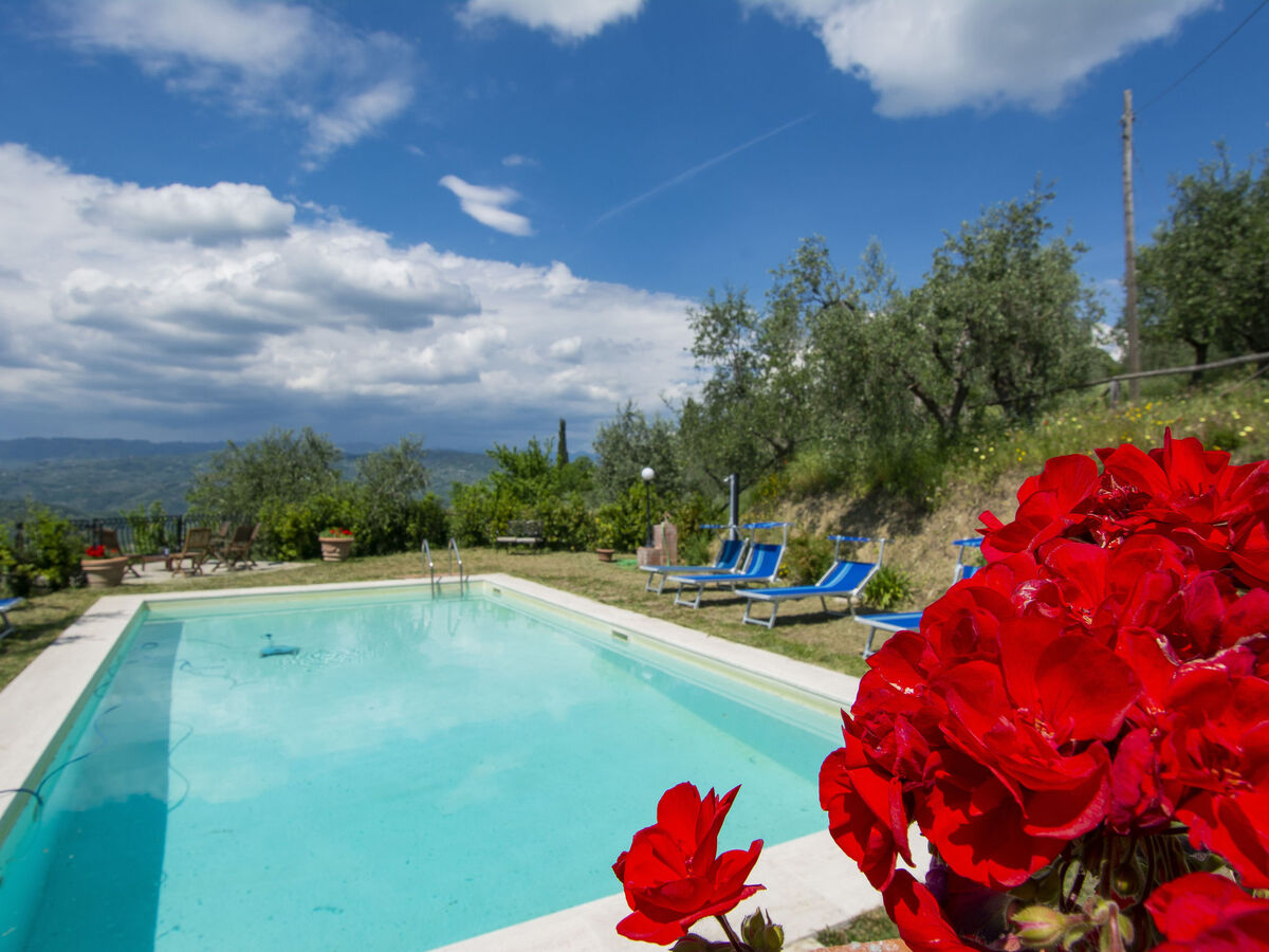 L'Amorosa, gîte 5 chambres avec piscine à Montecatini - Photo 59