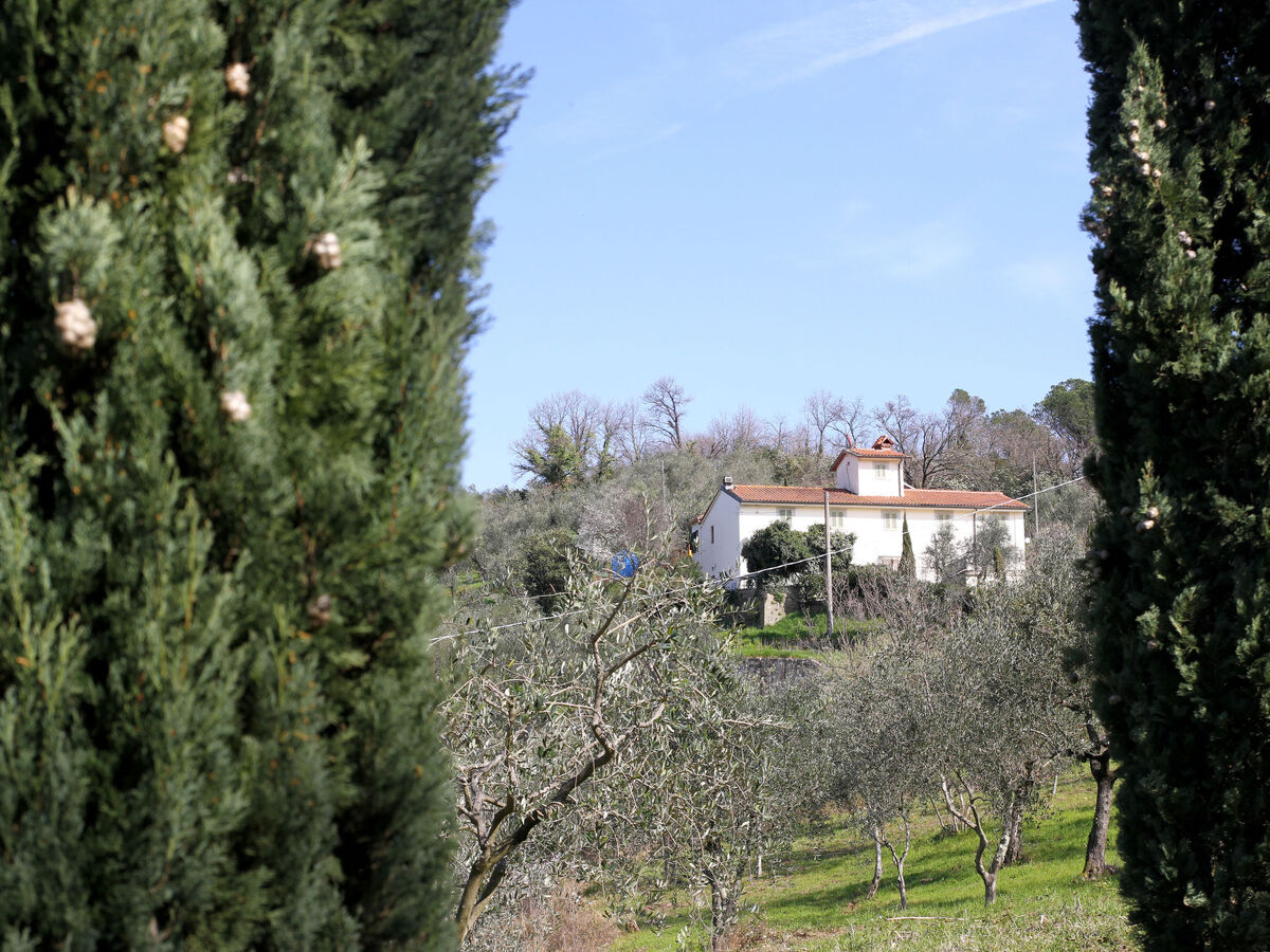 L'Amorosa, gîte 5 chambres avec piscine à Montecatini - Photo 63
