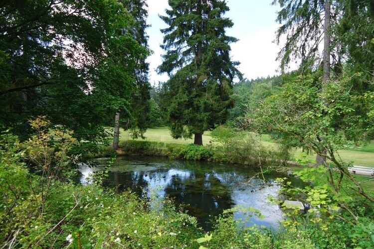 Maison 2 chambres avec jardin clôturé à Malemort - Photo 35