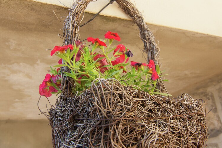 Maison 2 chambres avec jardin clôturé à Malemort - Photo 38