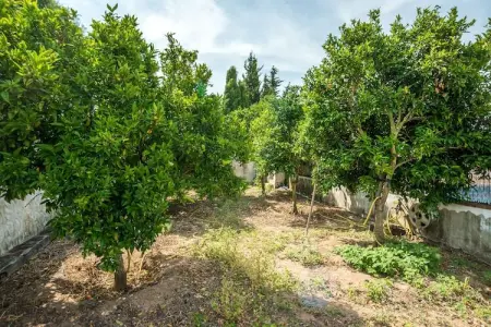 Casa Qlint & Enrique – Villa Barbate piscine chauffée : photo 37