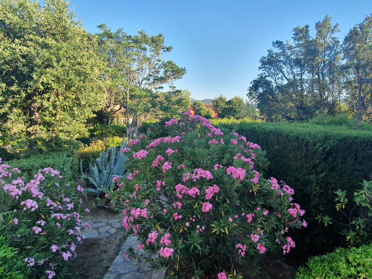 La Maison bleue à Grimaud, 2 ch., 1 km de la mer - Photo 16