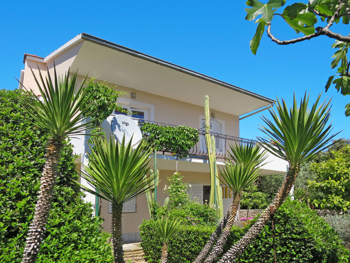 Maison Maslina à Trogir, 3 chambres, 450 m de la plage - Photo 1