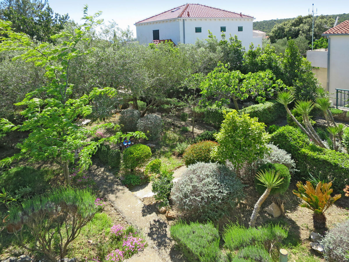 Maison Maslina à Trogir, 3 chambres, 450 m de la plage - Photo 3