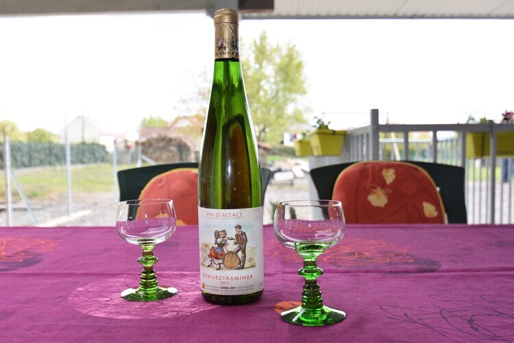 Maison plain-pied accessible Saint Louis, jardin et jeux - Photo 39