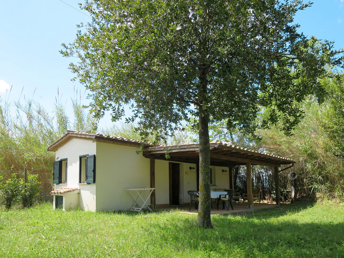 Chalet del Lago – maison au bord du lac de Bolsena - Photo 11