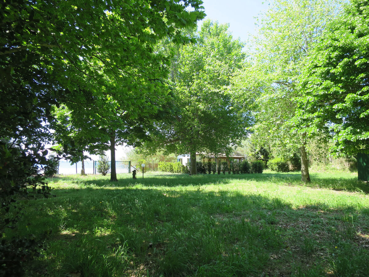 Chalet del Lago – maison au bord du lac de Bolsena - Photo 14