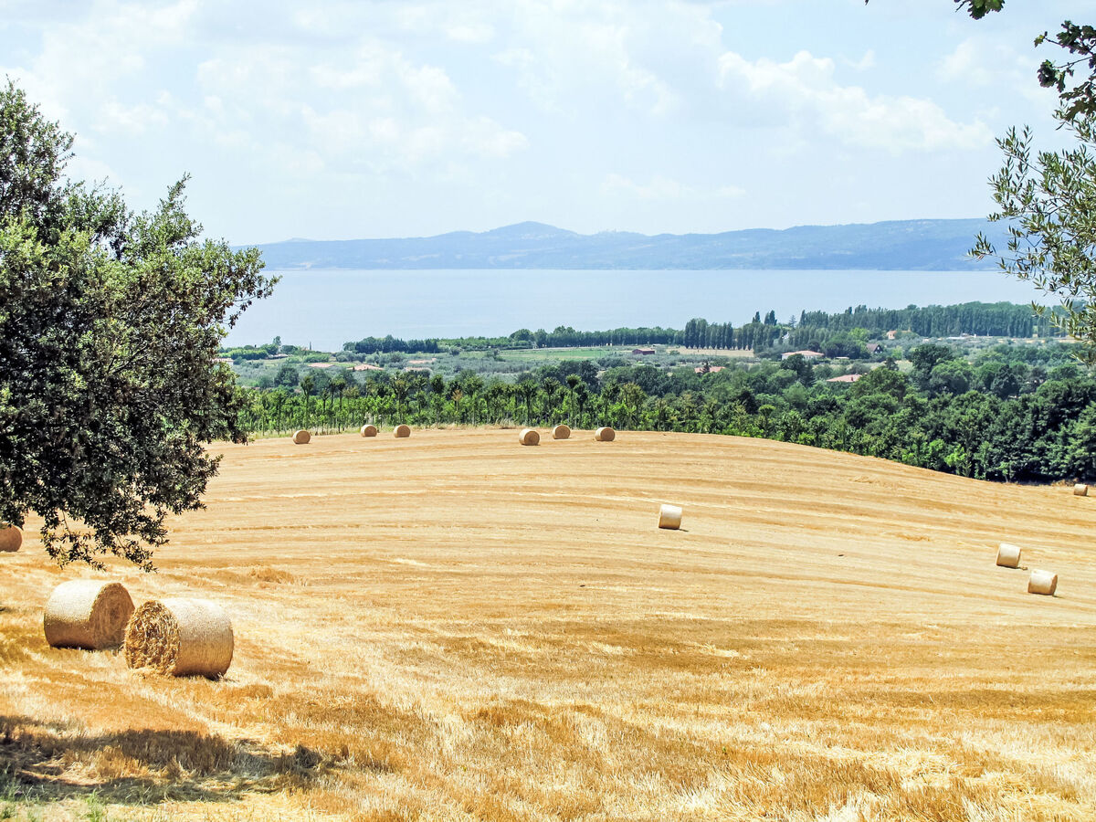 Chalet del Lago – maison au bord du lac de Bolsena - Photo 16