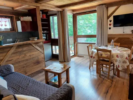 Castel des roches, studio 25m² vue montagnes : photo 5